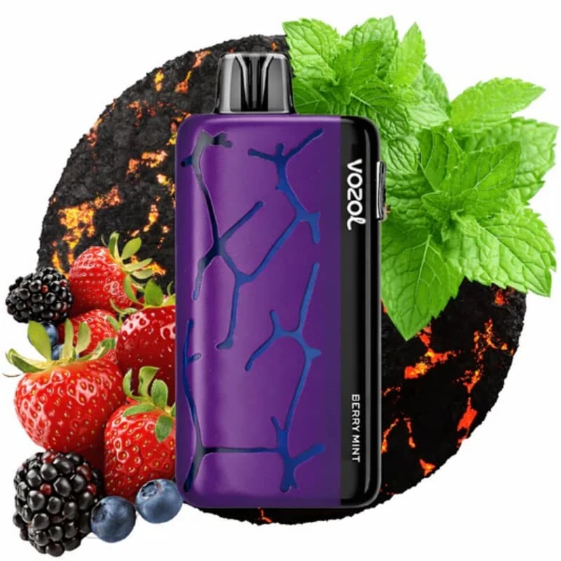Vozol Neon 45000 high quality